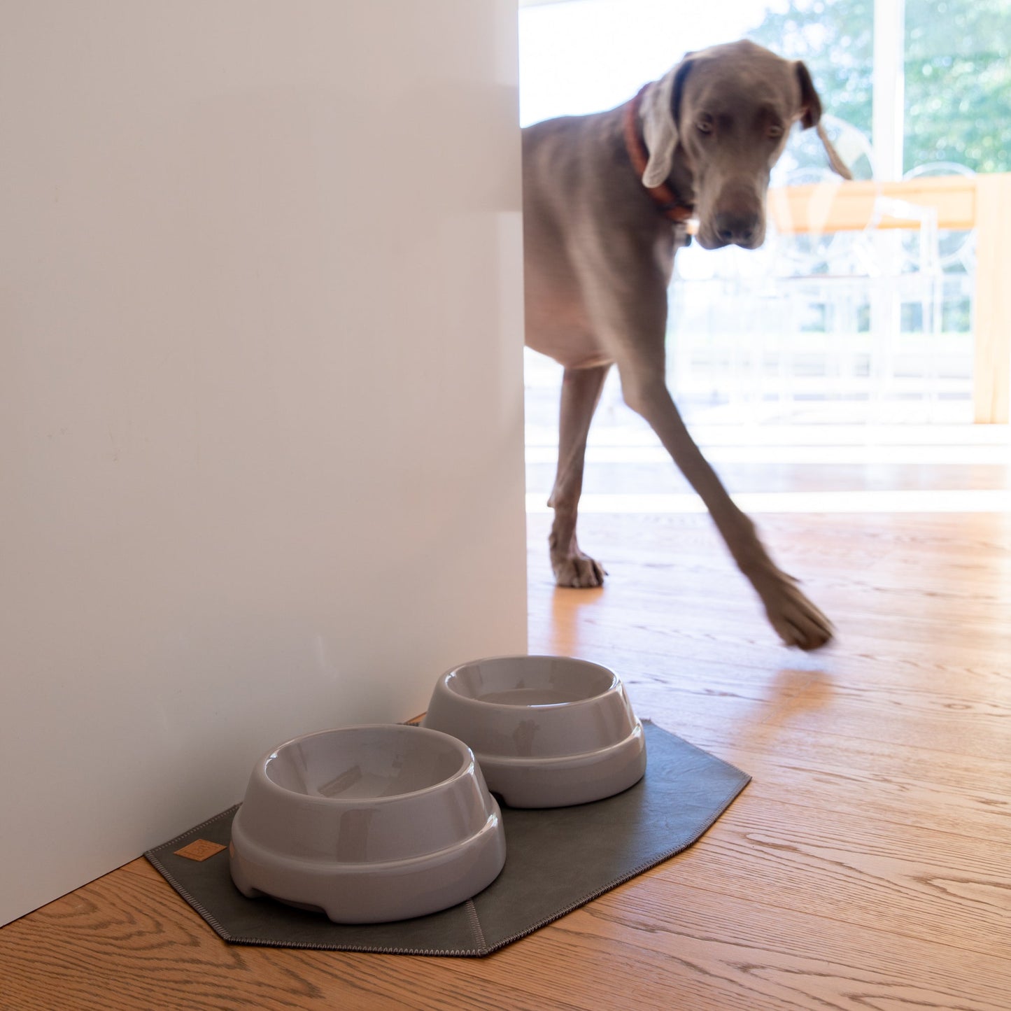 SEBASTIAO-DOG BOWL