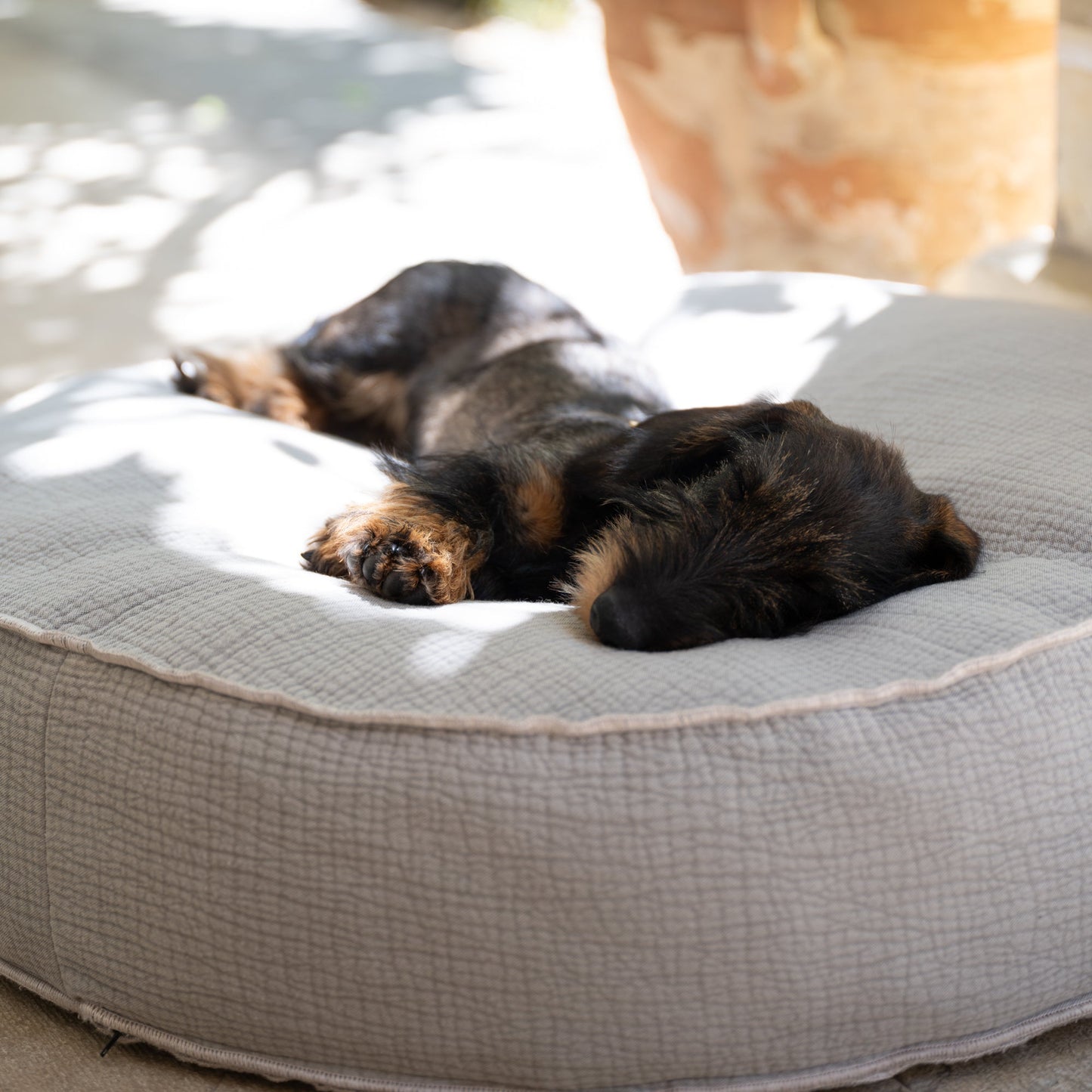FULVIO - DOG CUSHION IN ELEPHANT COTTON