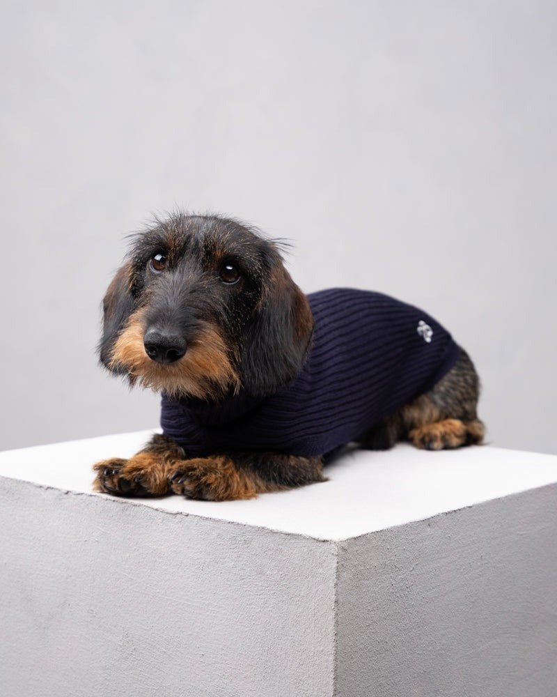 PAUL – MERINO WOOL DOG SWEATER