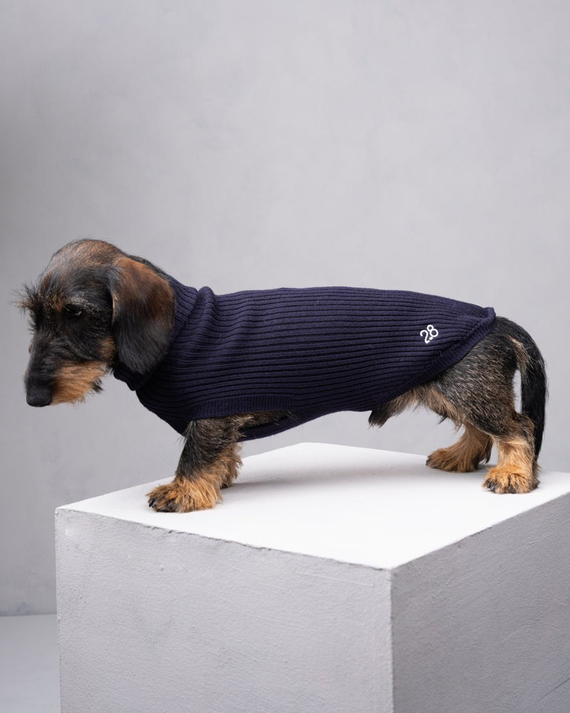 PAUL – MERINO WOOL DOG SWEATER