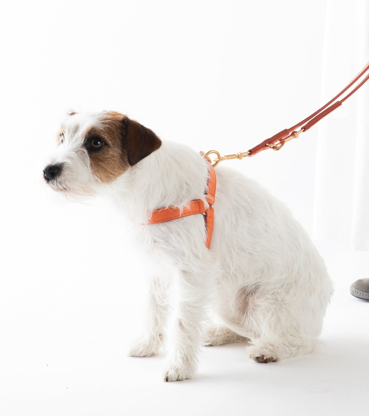 MARIO HARNESS