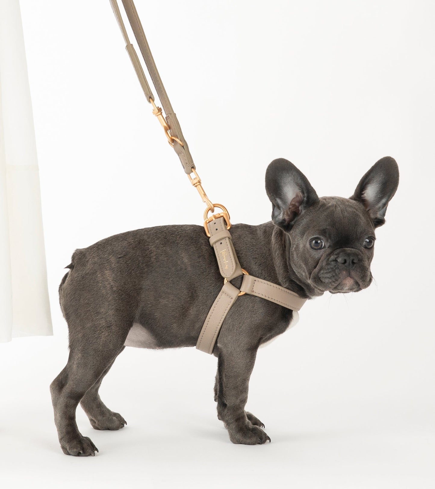 MARIO HARNESS