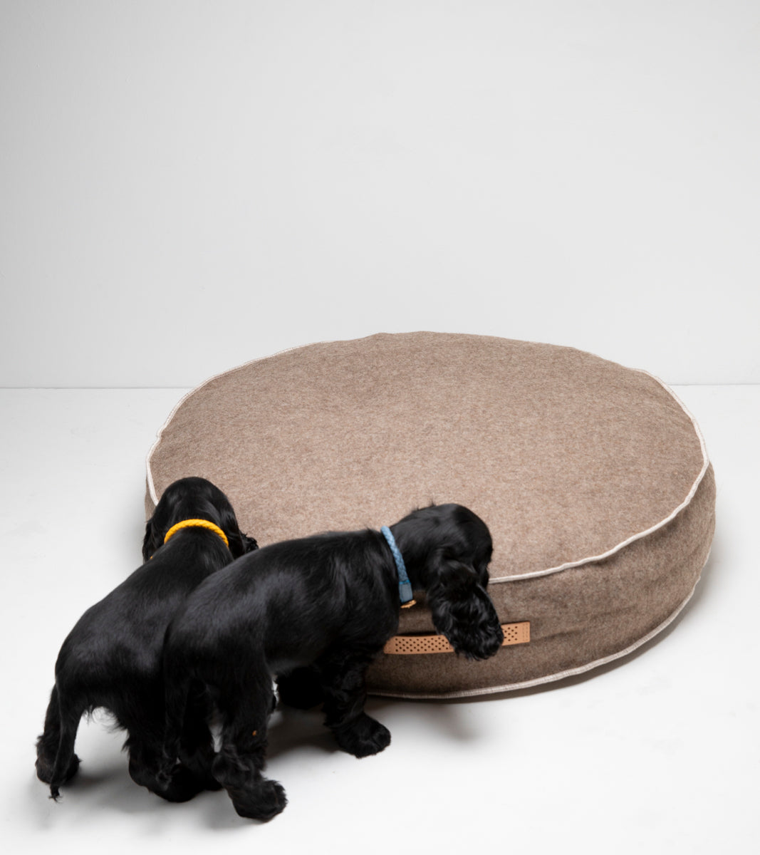FULVIO RECYCLED WOOL