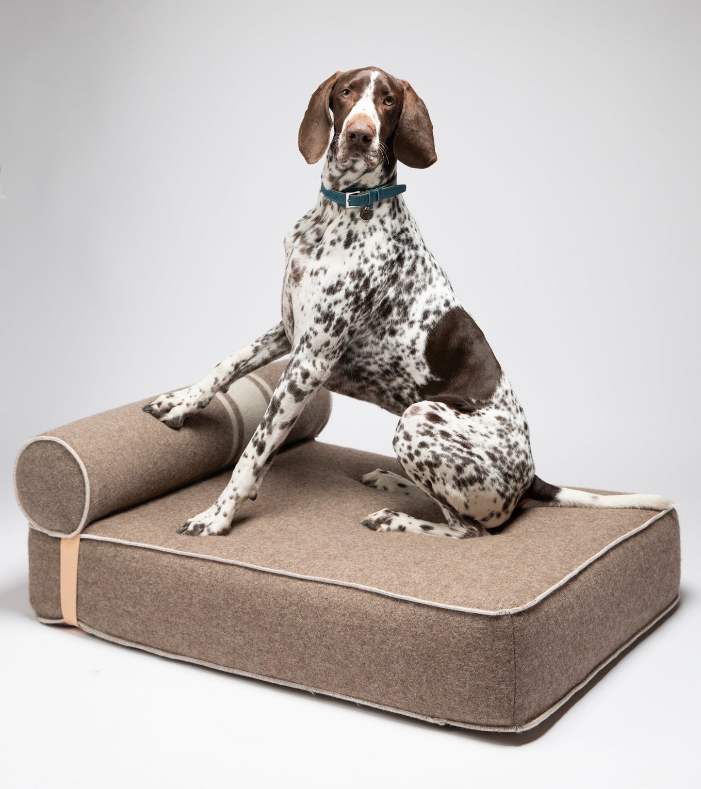 GIAMPAOLO DAY BED FOR DOGS IN RECYCLED WOOL