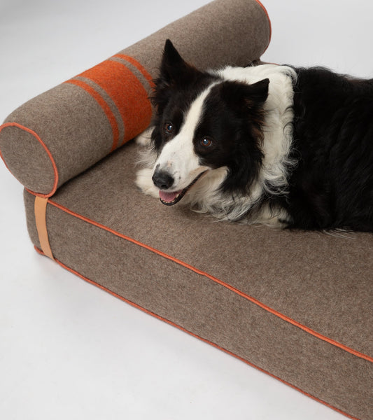 GIAMPAOLO DAY BED FOR DOGS IN RECYCLED WOOL