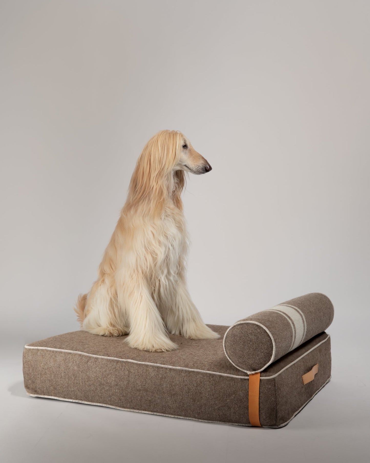 GIAMPAOLO DAY BED FOR DOGS IN RECYCLED WOOL