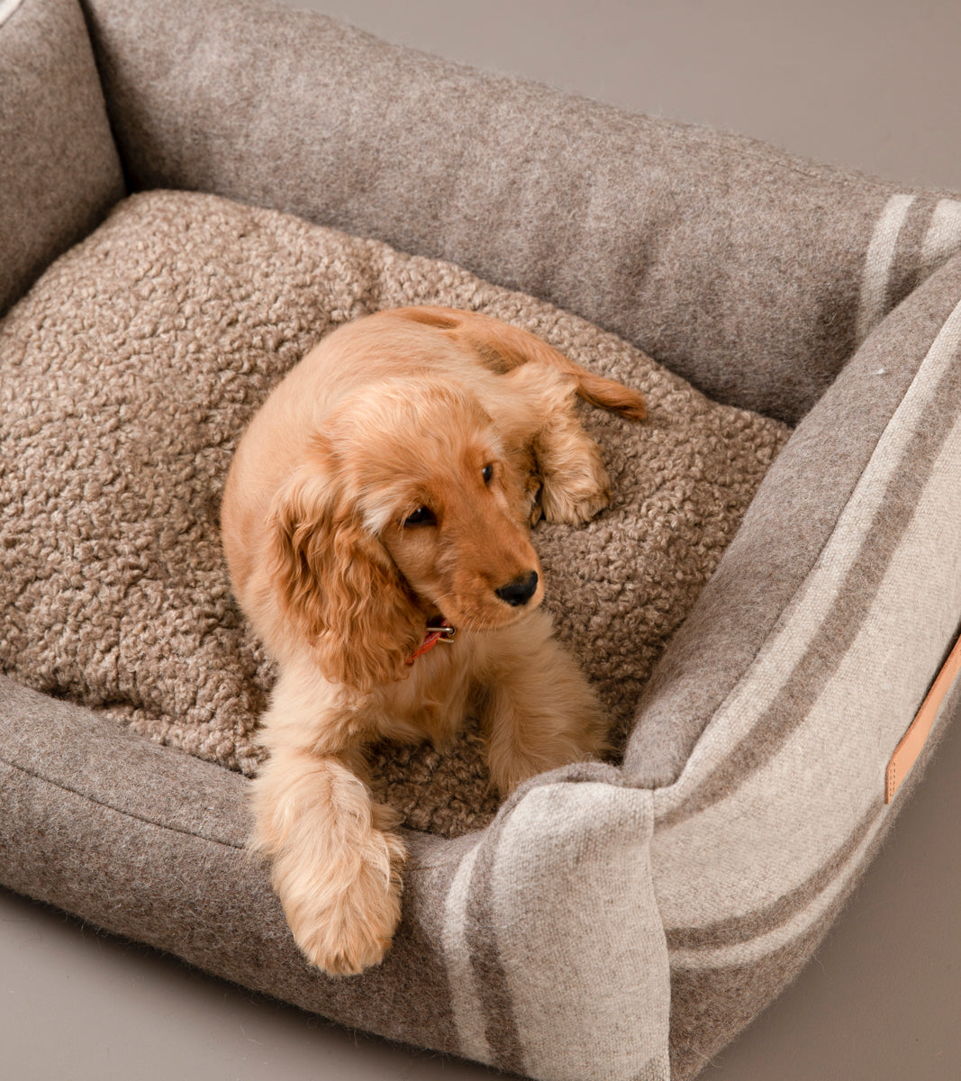 HENRI RECYCLED WOOL