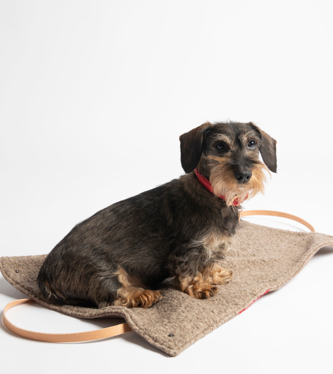 MINI STEVE DOG TRAVEL MAT CASENTINO