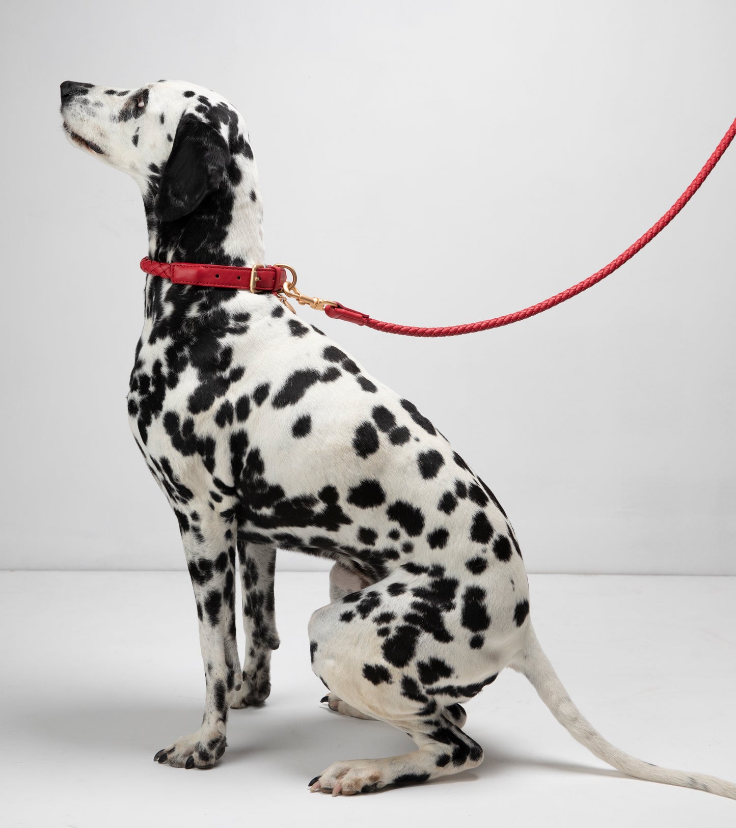 FERDINANDO - BRAIDED LEATHER LEASH