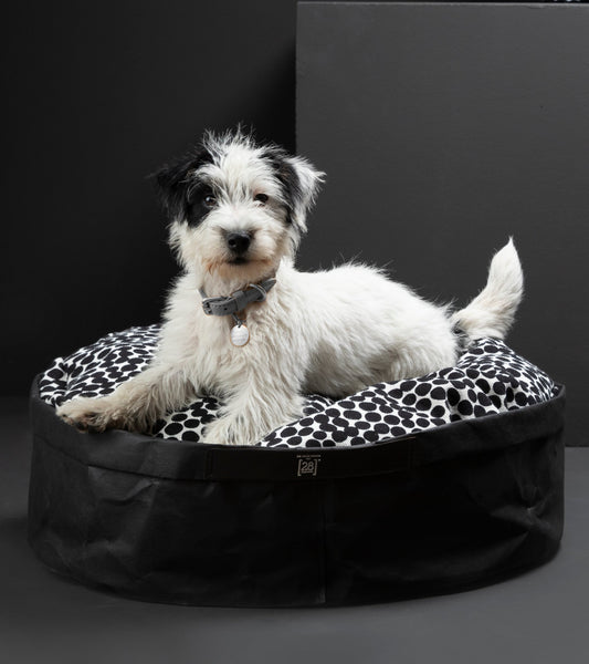 IRVING DOTTO BY PAOLA NAVONE-PAPER CUSHION