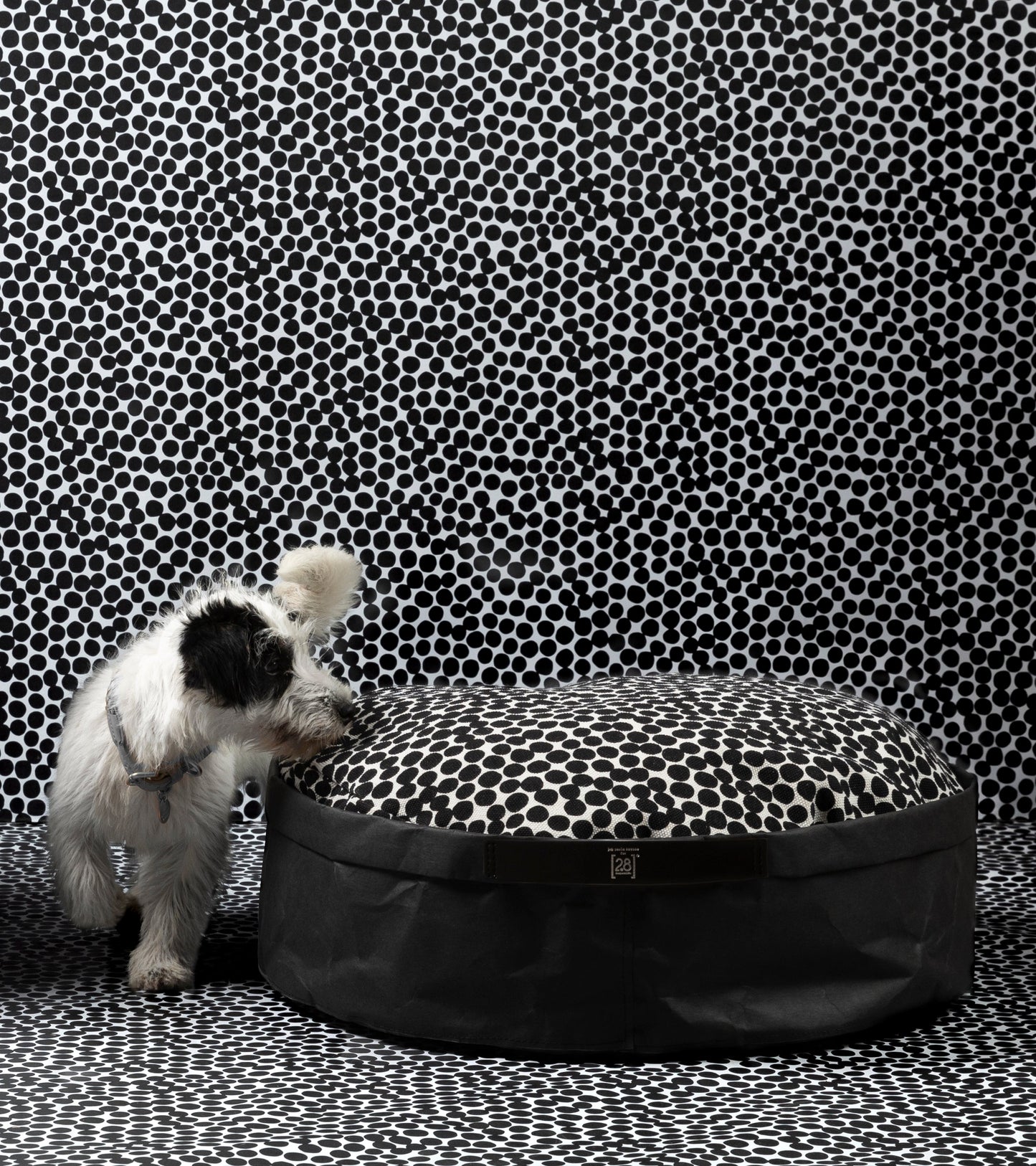IRVING DOTTO BY PAOLA NAVONE-PAPER CUSHION