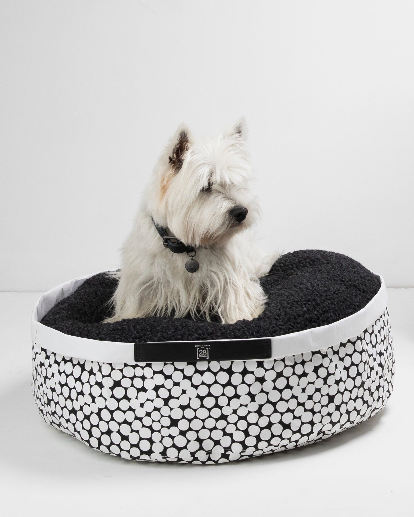 IRVING DOTTO BY PAOLA NAVONE-PAPER CUSHION
