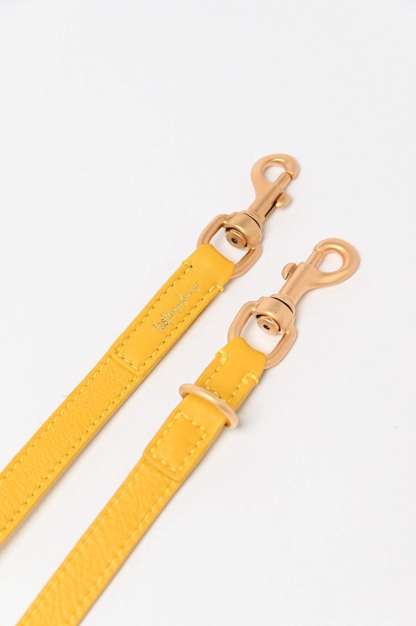 MARIO LEASH