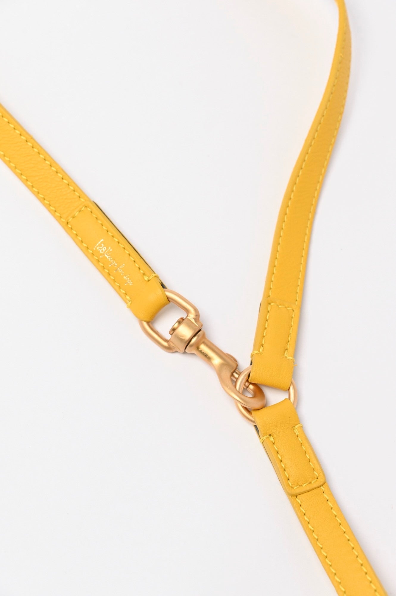 MARIO LEASH