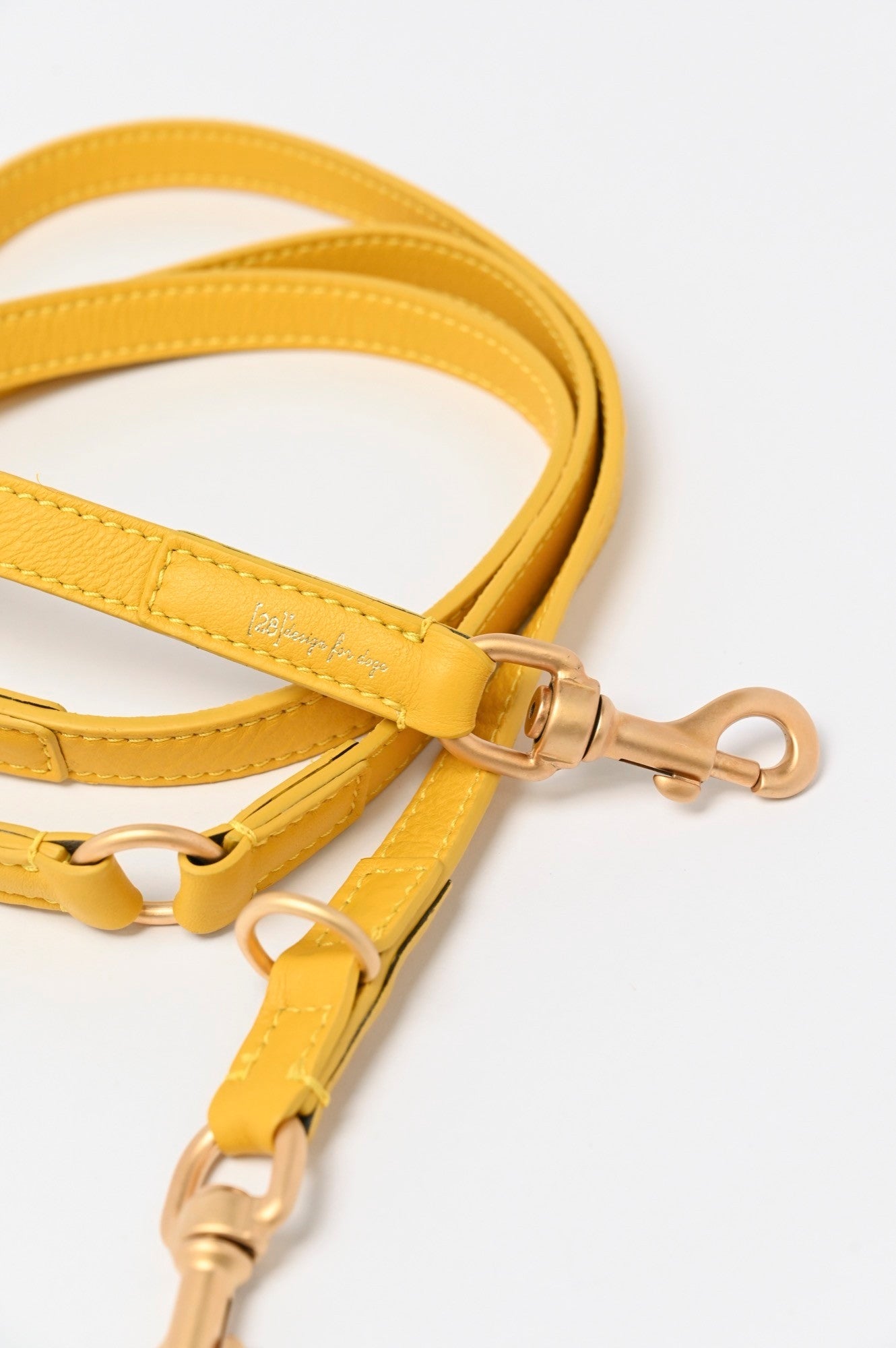 MARIO LEASH