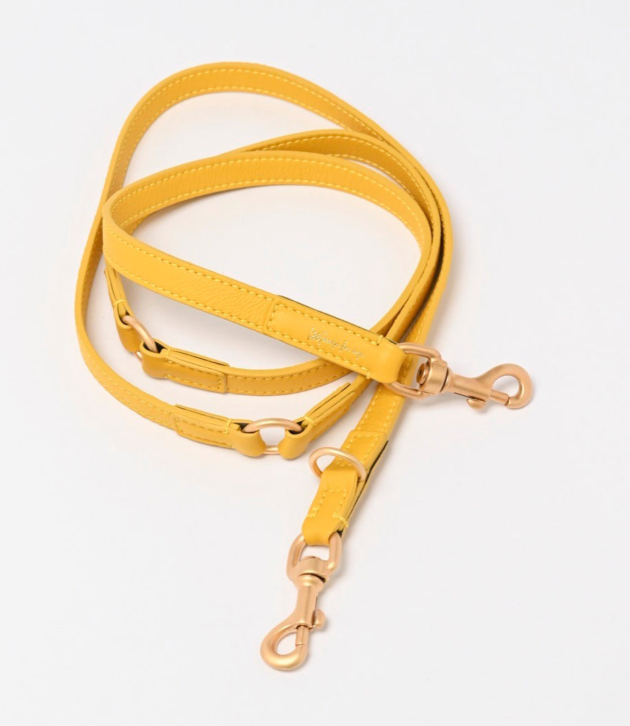 MARIO LEASH