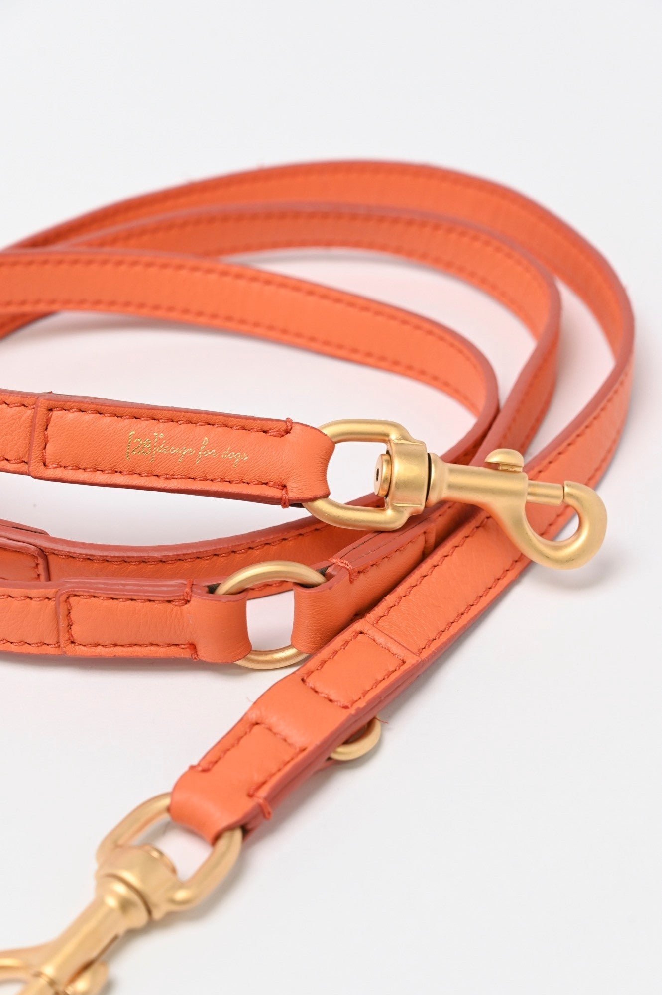 MARIO LEASH