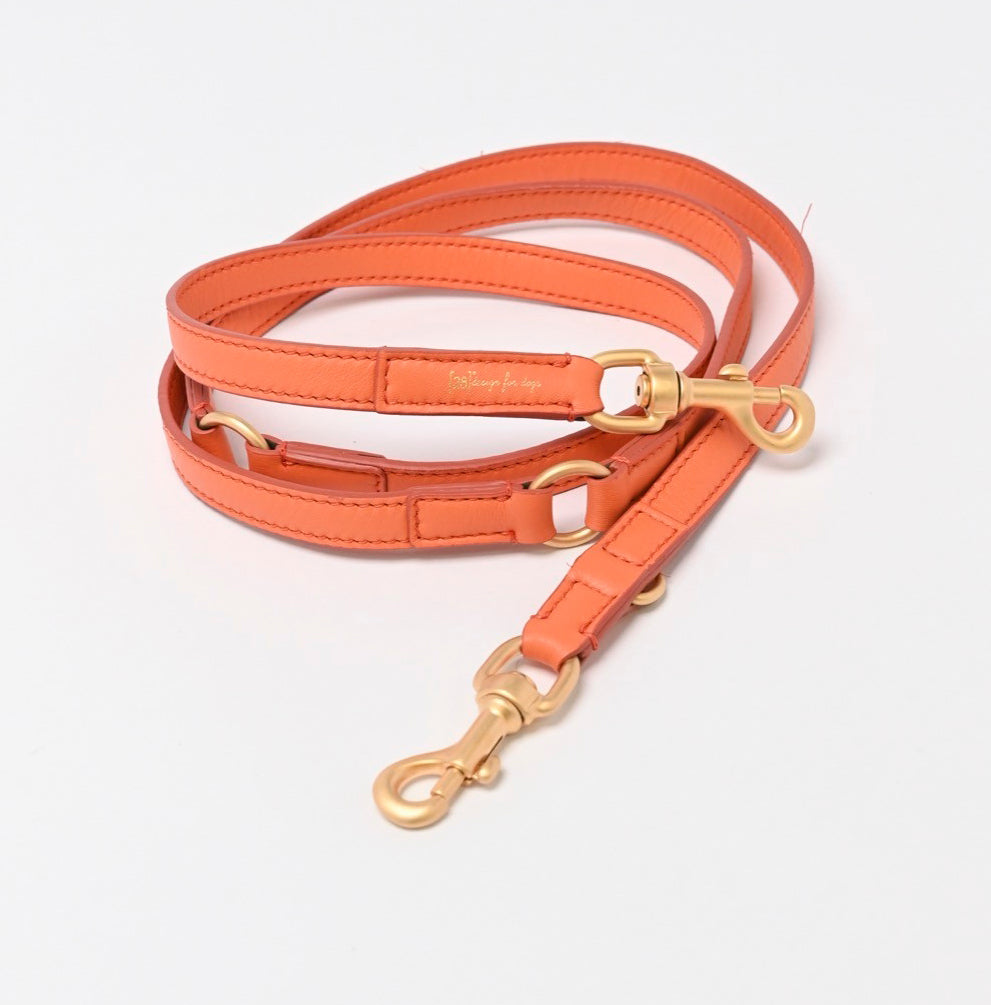 MARIO LEASH