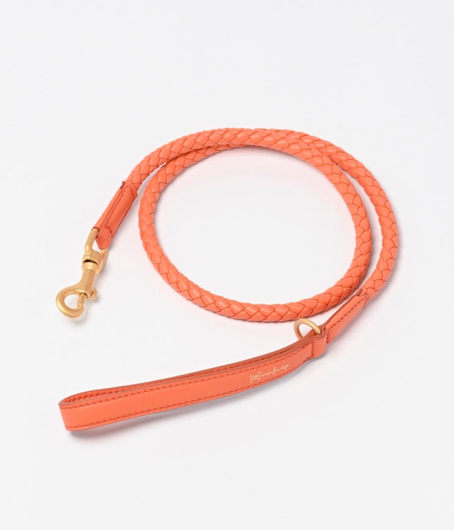 FERDINANDO - BRAIDED LEATHER LEASH