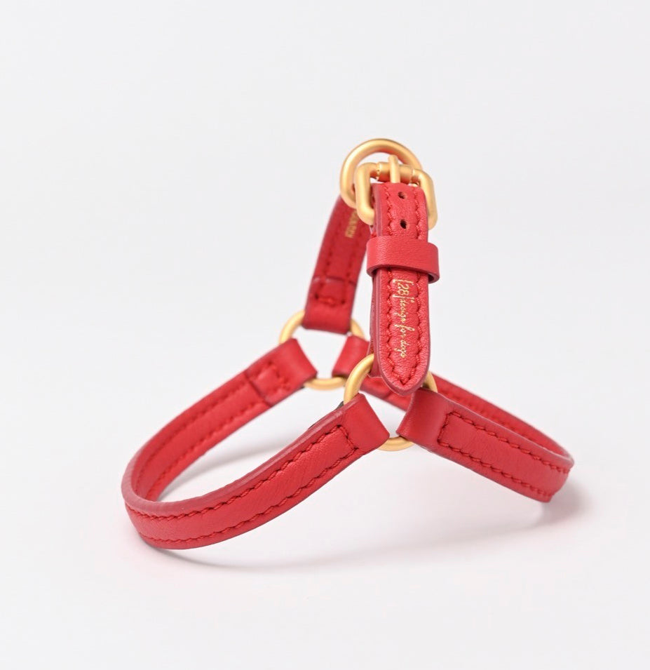 MARIO HARNESS