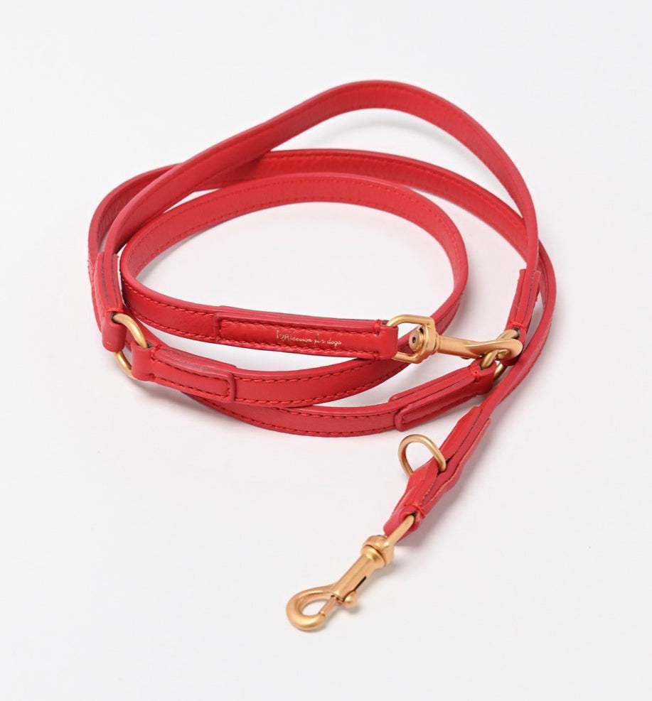 MARIO LEASH