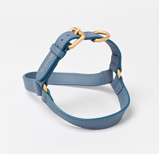 MARIO HARNESS