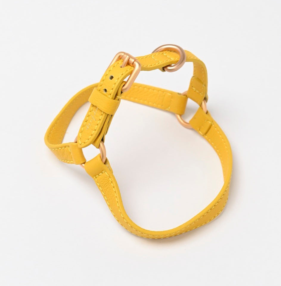 MARIO HARNESS