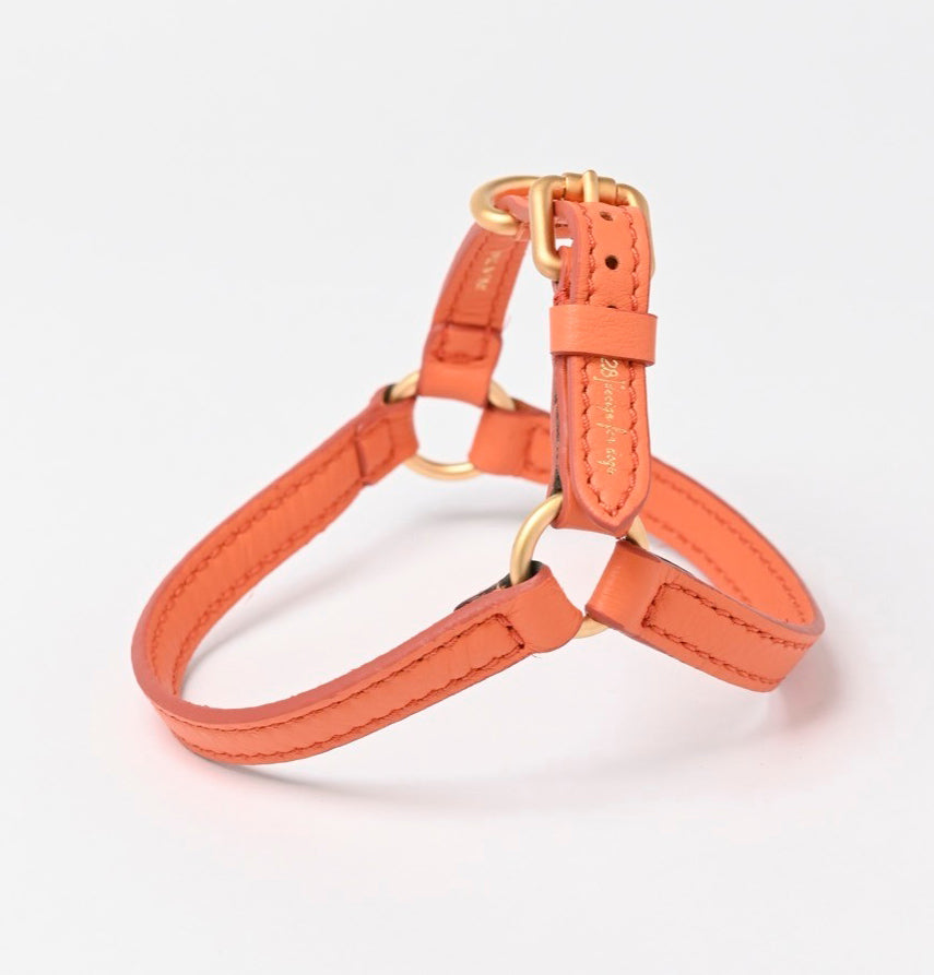 MARIO HARNESS