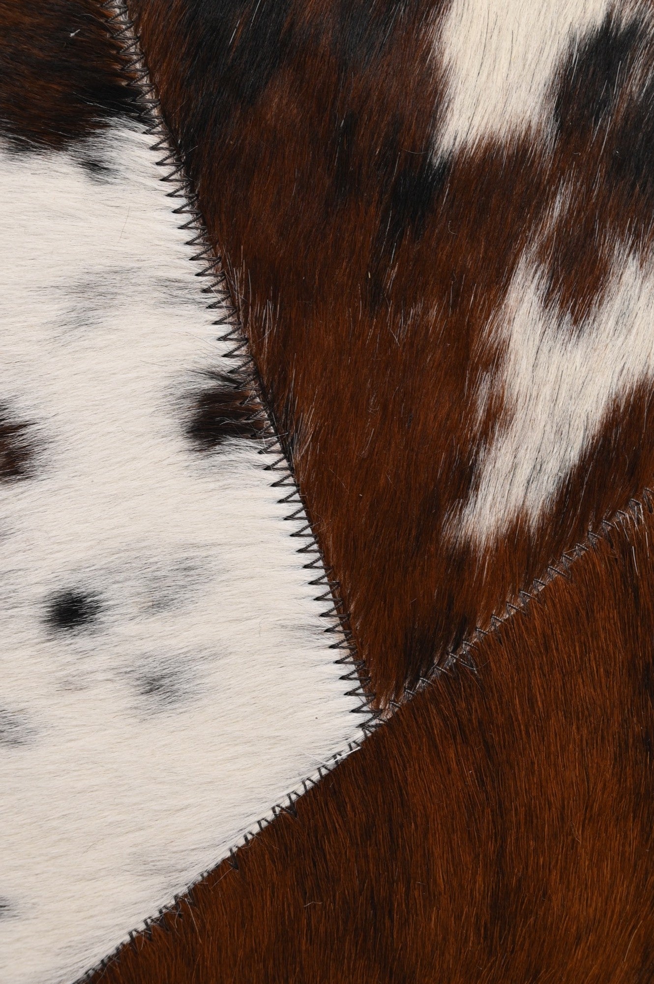 DAVID DOG PLACEMAT IN COWHIDE LEATHER