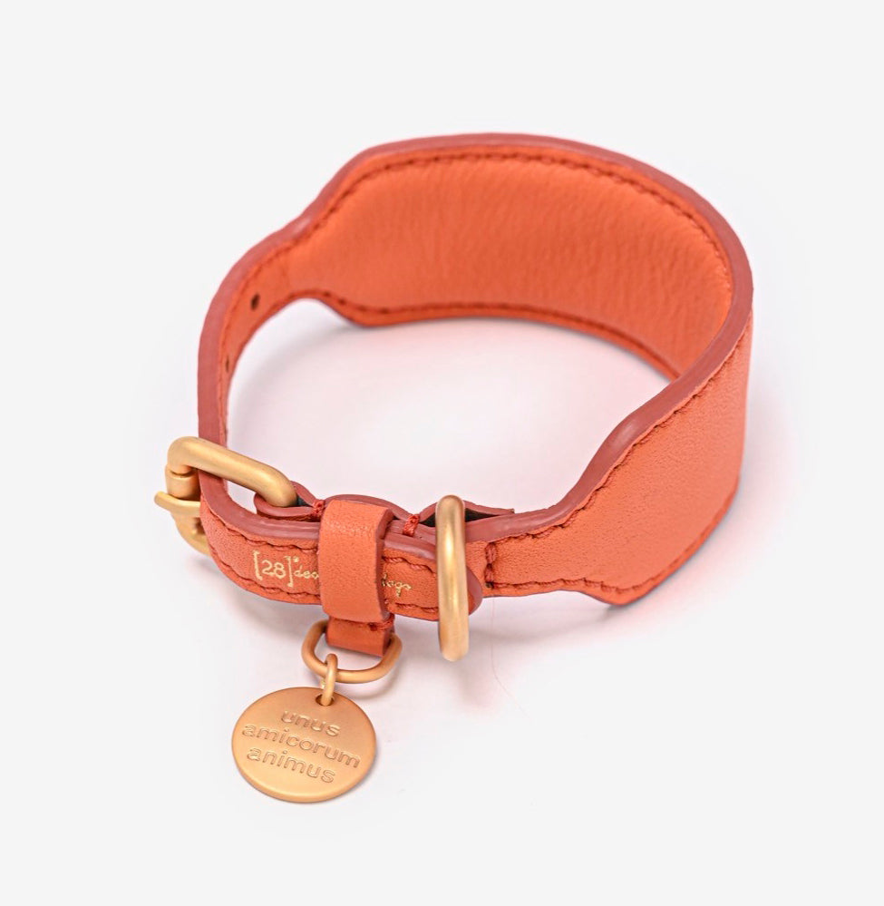 MARIO COLLAR