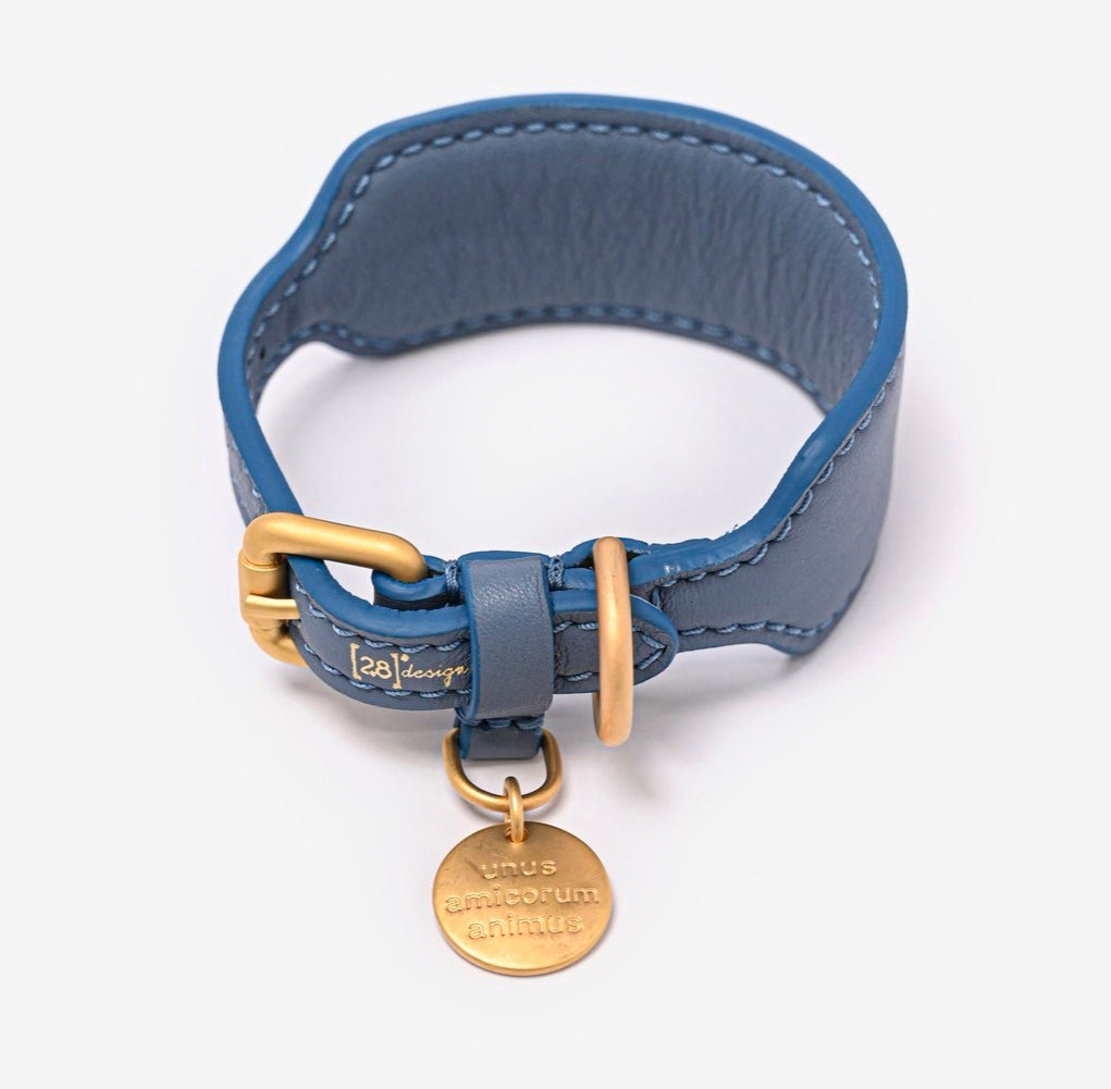 MARIO COLLAR