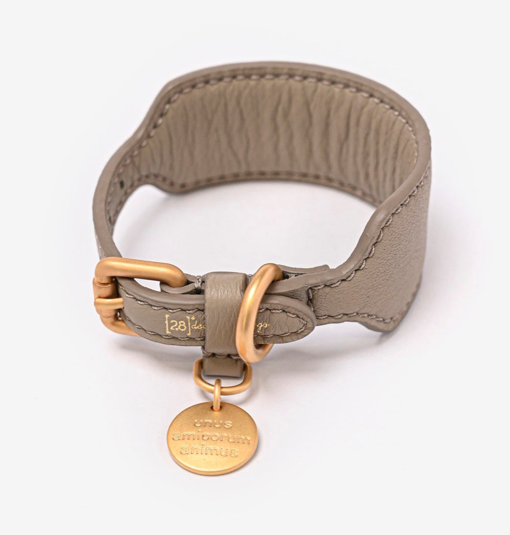 MARIO COLLAR