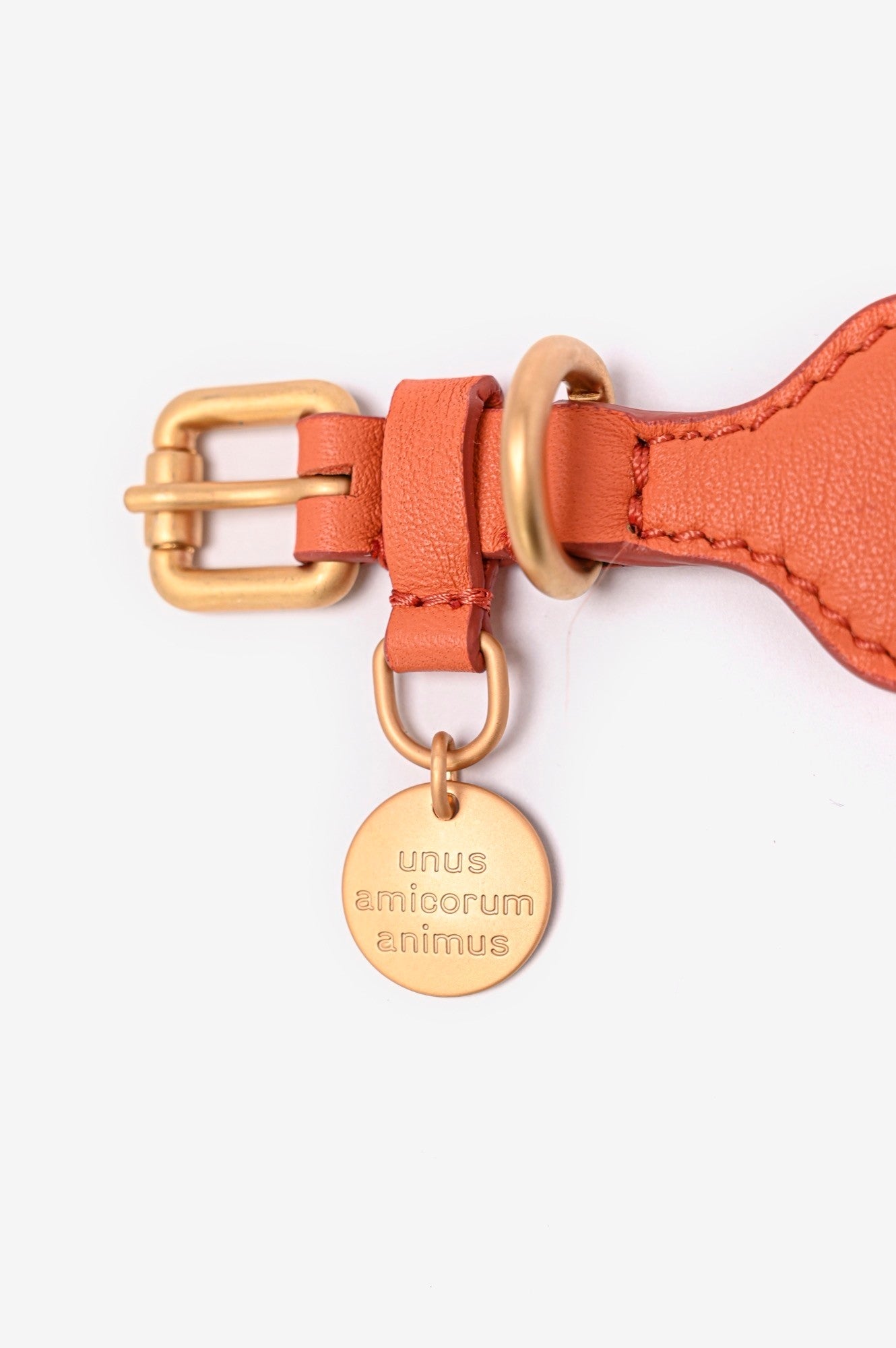 MARIO COLLAR