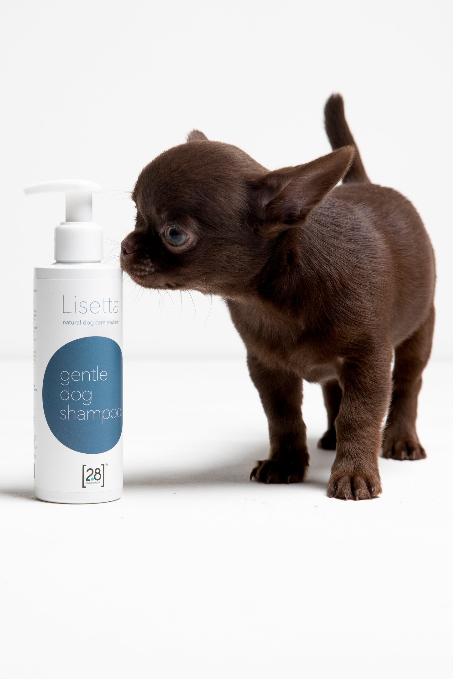 LISETTA-DOG SHAMPOO (200ML)