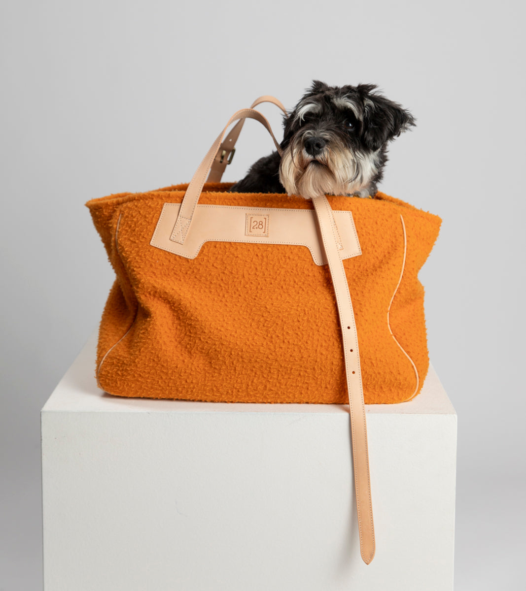 MARGARET CASENTINO ORANGE