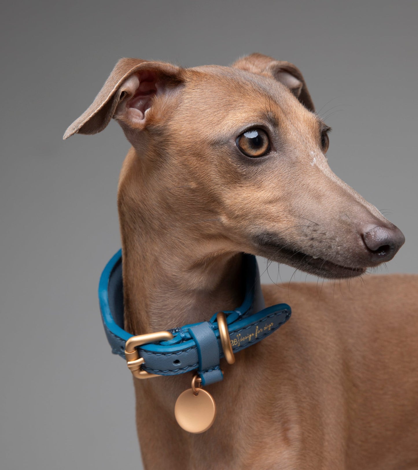 MARIO COLLAR
