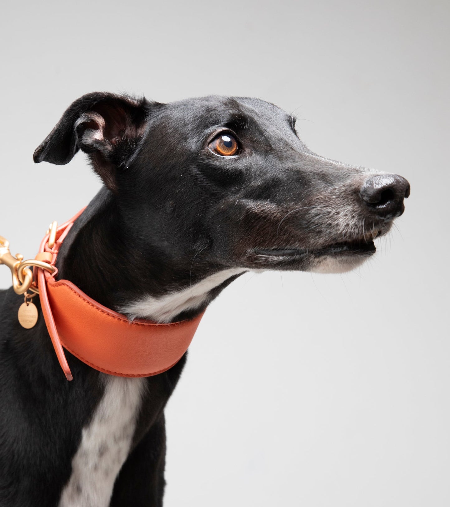 MARIO COLLAR