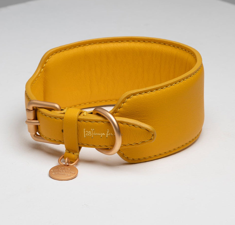 MARIO COLLAR