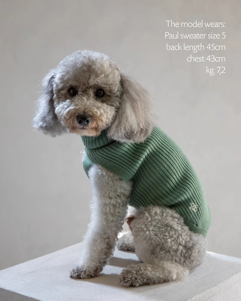 PAUL – MERINO WOOL DOG SWEATER