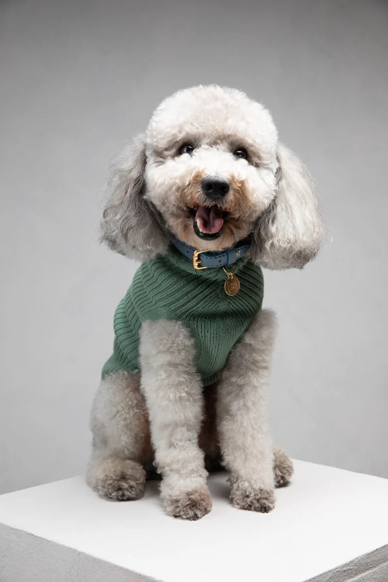 PAUL – MERINO WOOL DOG SWEATER