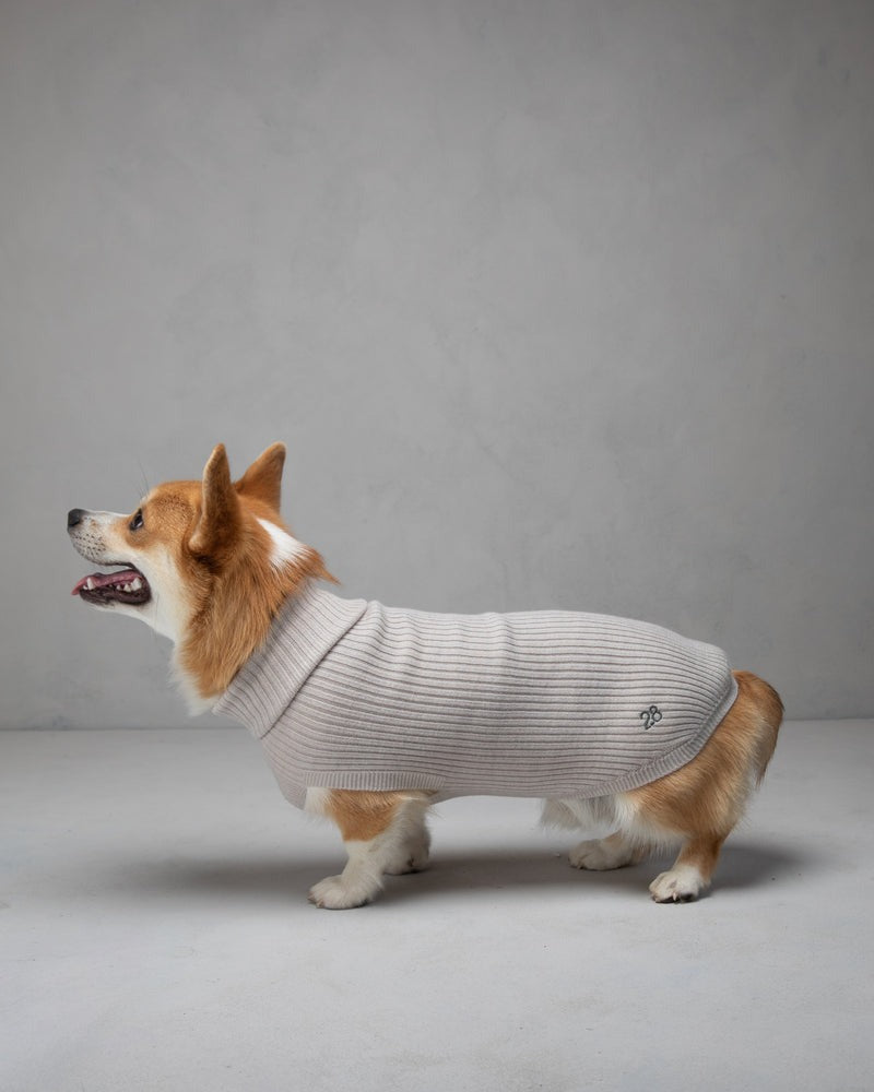 PAUL – MERINO WOOL DOG SWEATER