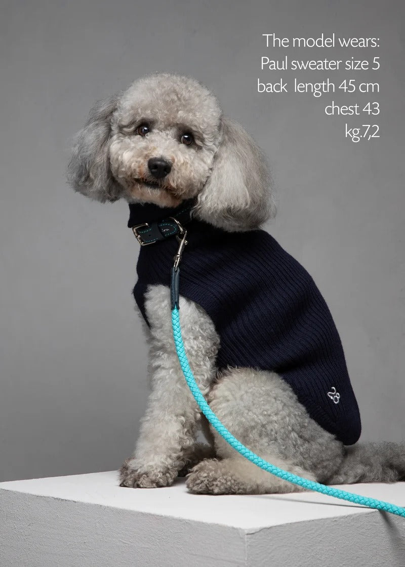 PAUL – MERINO WOOL DOG SWEATER