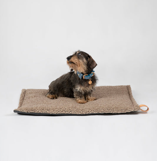 RICHARD - THIN DOG CUSHION IN WOOL