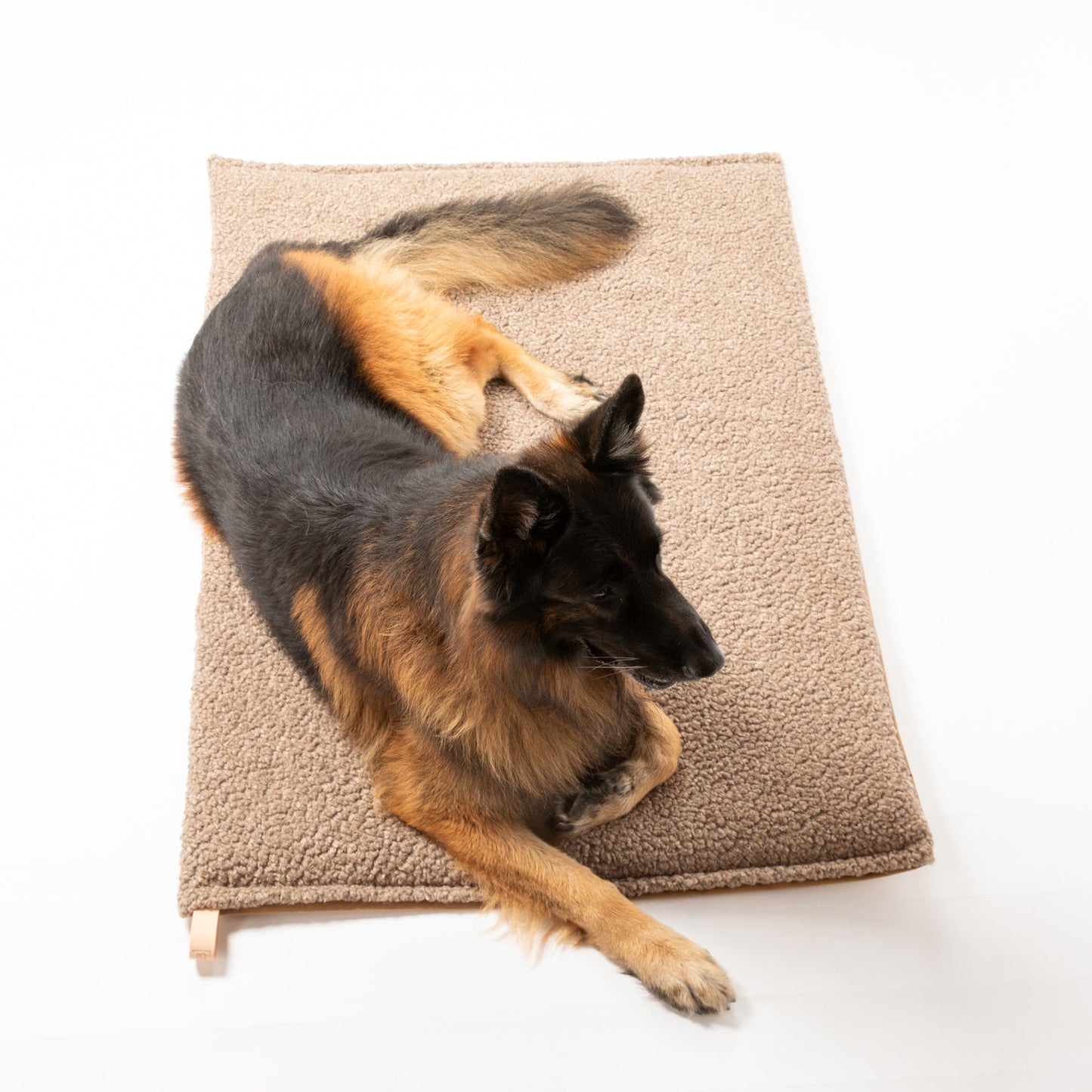 RICHARD - THIN DOG CUSHION IN WOOL
