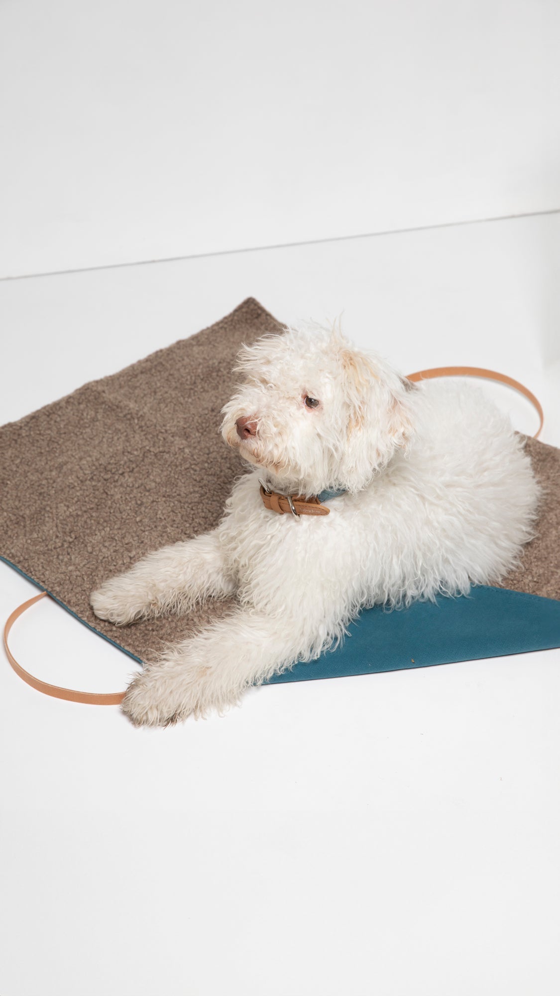 STEVE DOG TRAVEL MAT COTTON CANVAS