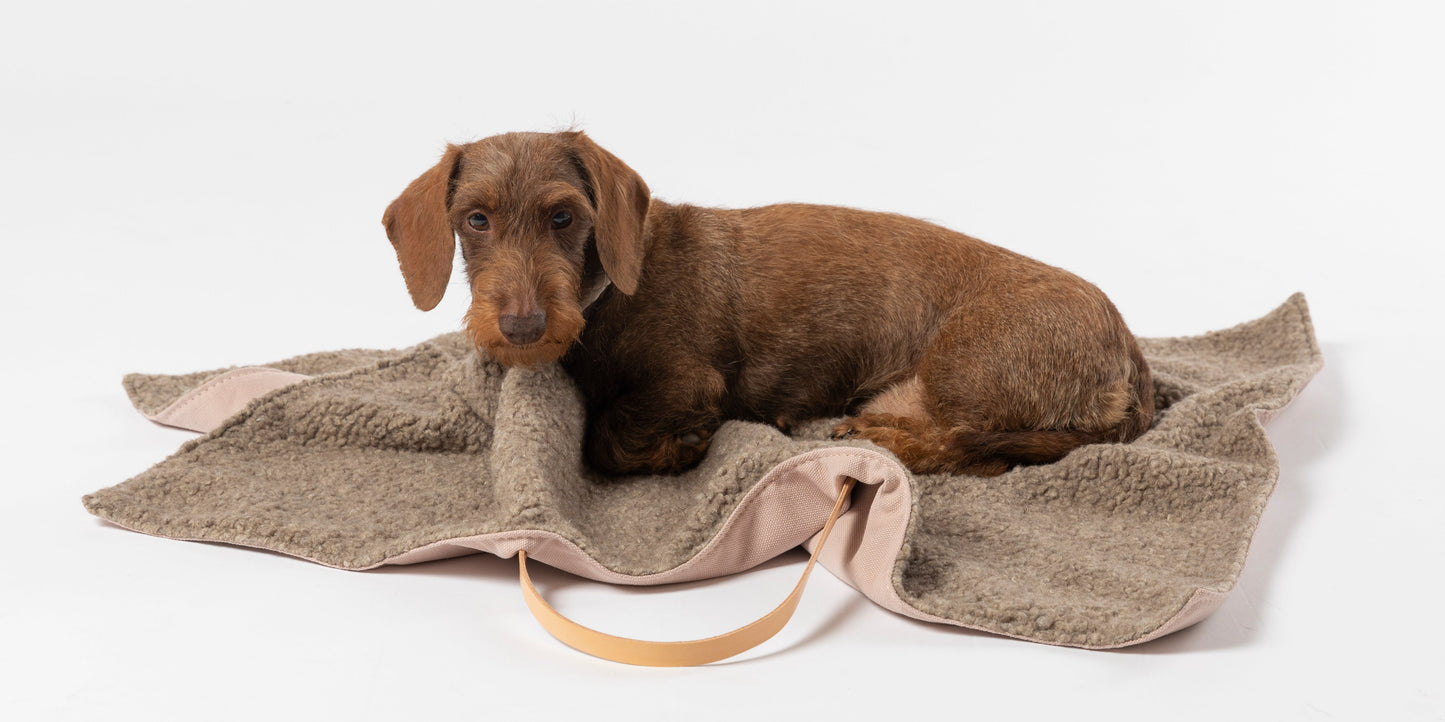 STEVE DOG TRAVEL MAT COTTON CANVAS
