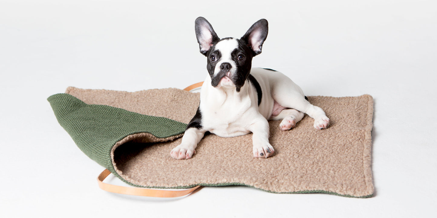 STEVE DOG TRAVEL MAT JUTE