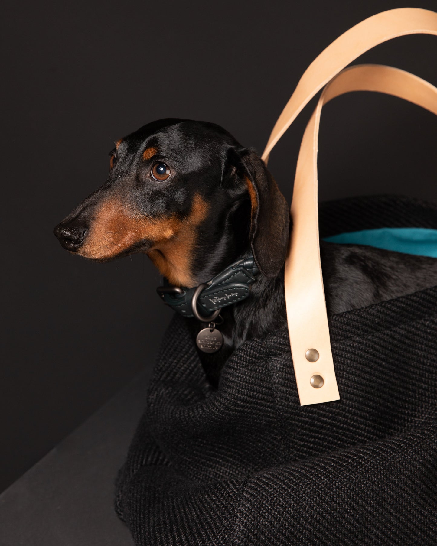 INGE - DOG BAG JUTE