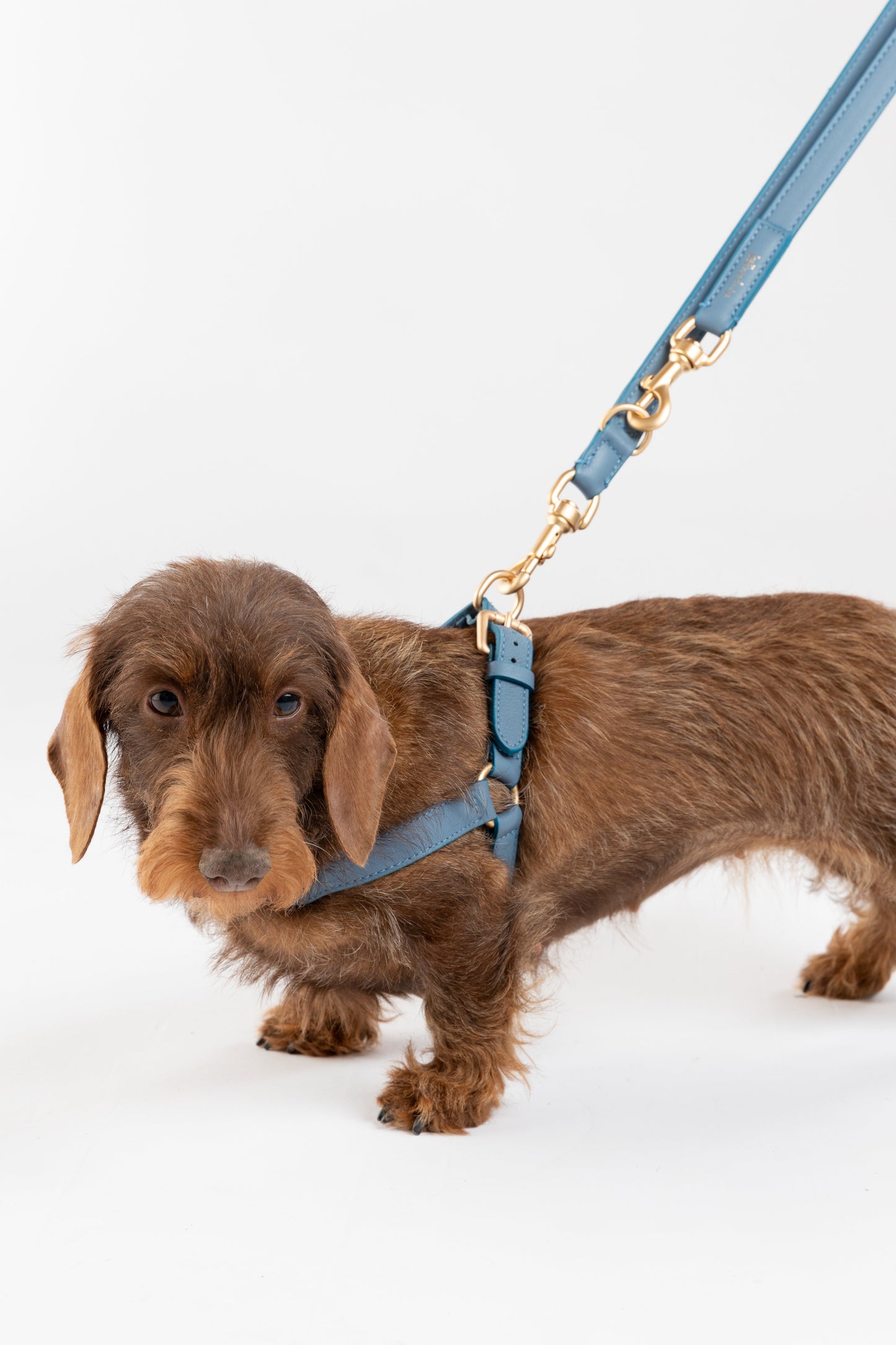 MARIO HARNESS