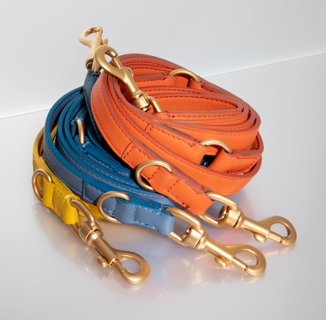MARIO LEASH